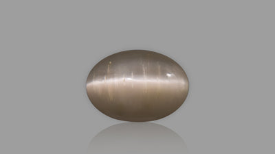 Cat's Eye - 7.10 Carat