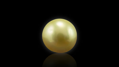 Golden Sea Pearl - 5.58 Carat
