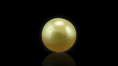 Golden Sea Pearl - 6.25 Carat
