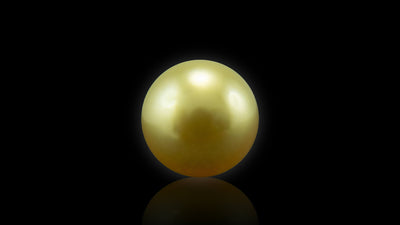 Golden Sea Pearl - 5.89 Carat