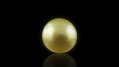 Golden Sea Pearl - 5.66 Carat