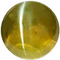 Cats Eye (Lehsunia)
