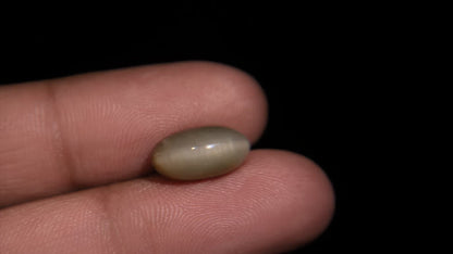 Buy Natural 5.52 Carat Cats Eye Stone at best price online