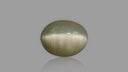 Buy 6.27 Carat Cats Eye Stone from Only Natural Gemstones