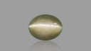 Buy 6.74 Carat Cats Eye Stone from Only Natural Gemstones