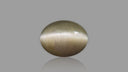 Buy 8.54 Carat Cats Eye Stone from Only Natural Gemstones