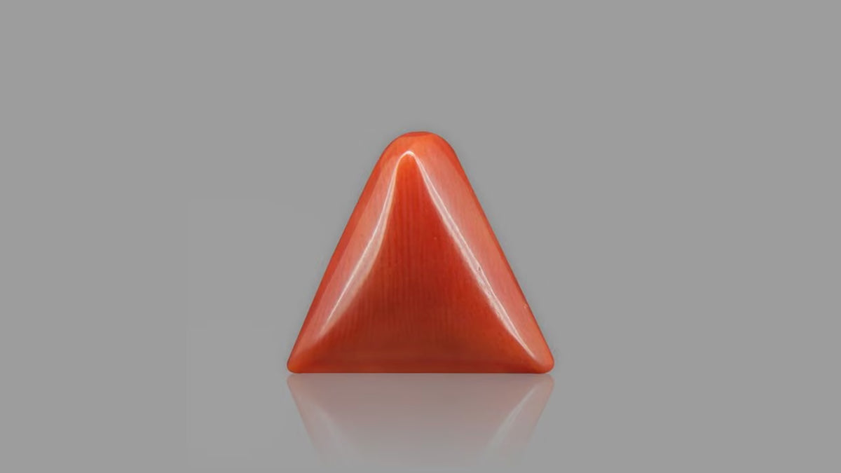 Buy 13.43 Carat Red Coral Stone from Only Natural Gemstones