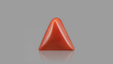 Buy 13.43 Carat Red Coral Stone from Only Natural Gemstones