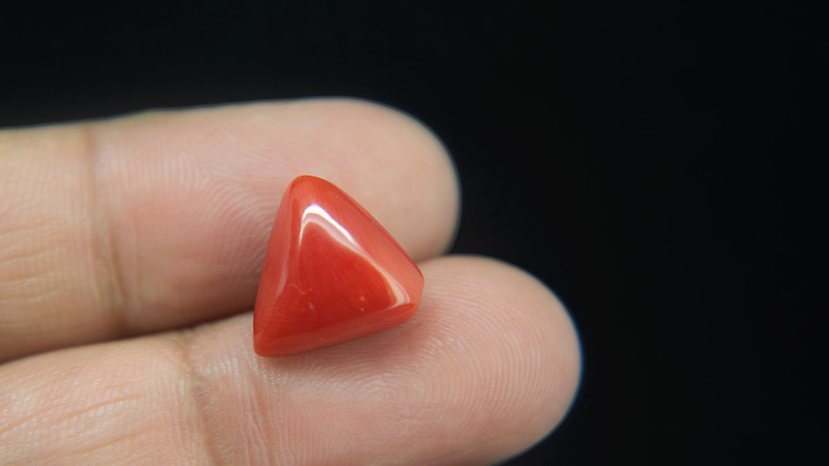 Buy Natural 8.28 Carat Red Coral Stone at best price online