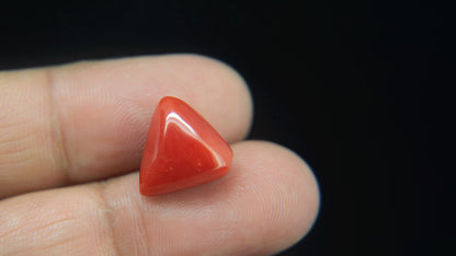 Buy Natural 8.28 Carat Red Coral Stone at best price online