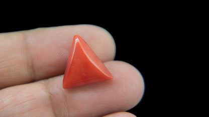 Buy Natural 9.31 Carat Red Coral Stone at best price online