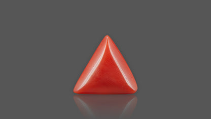 Buy 8.47 Carat Red Coral Stone from Only Natural Gemstones