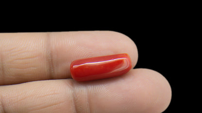 Buy Natural 7.46 Carat Red Coral Stone at best price online