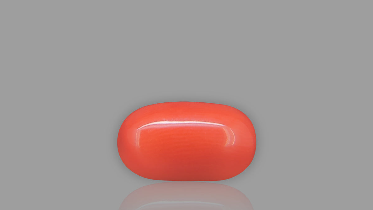 Buy 5.91 Carat Red Coral Stone from Only Natural Gemstones