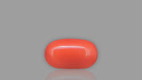 Buy 5.91 Carat Red Coral Stone from Only Natural Gemstones