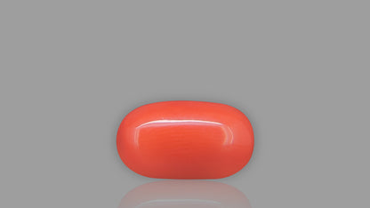 Buy 5.91 Carat Red Coral Stone from Only Natural Gemstones