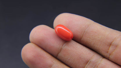 Buy Natural 5.91 Carat Red Coral Stone at best price online