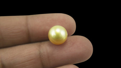 Golden South Sea Pearl - 5.58 Carat