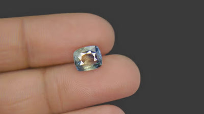 Pitambari Sapphire - 2.79 Carat