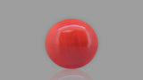 Buy 13.55 Carat Red Coral Stone from Only Natural Gemstones