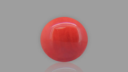 Buy 13.55 Carat Red Coral Stone from Only Natural Gemstones