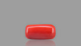 Buy 12.90 Carat Red Coral Stone from Only Natural Gemstones