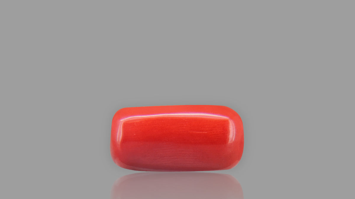 Buy 12.90 Carat Red Coral Stone from Only Natural Gemstones