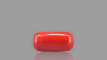 Buy 12.90 Carat Red Coral Stone from Only Natural Gemstones