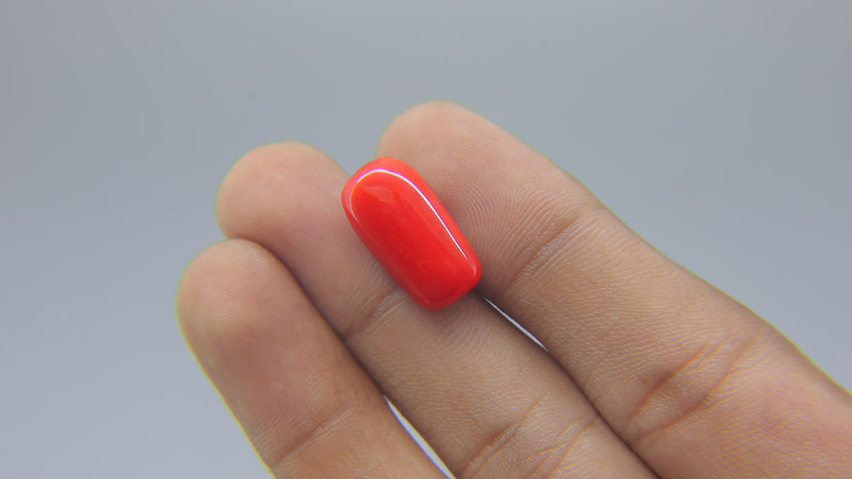 Buy Natural 12.90 Carat Red Coral Stone at best price online