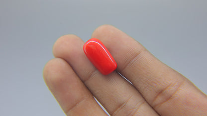 Buy Natural 12.90 Carat Red Coral Stone at best price online