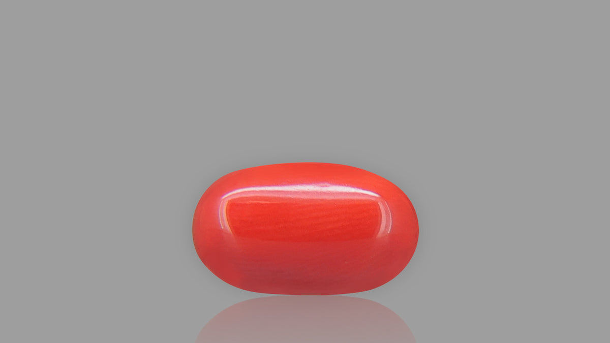 Buy 5.53 Carat Red Coral Stone from Only Natural Gemstones