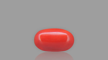 Buy 5.53 Carat Red Coral Stone from Only Natural Gemstones