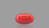 Buy 8.08 Carat Red Coral Stone from Only Natural Gemstones