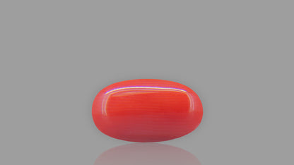 Buy 8.08 Carat Red Coral Stone from Only Natural Gemstones