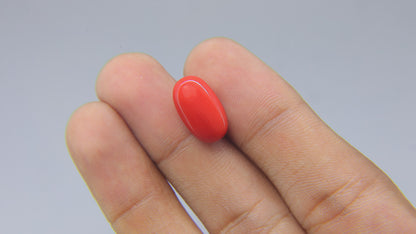 Buy Natural 8.08 Carat Red Coral Stone at best price online