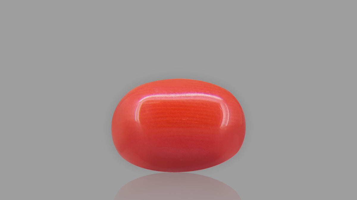 Buy 6.21 Carat Red Coral Stone from Only Natural Gemstones