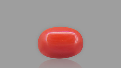 Buy 6.21 Carat Red Coral Stone from Only Natural Gemstones
