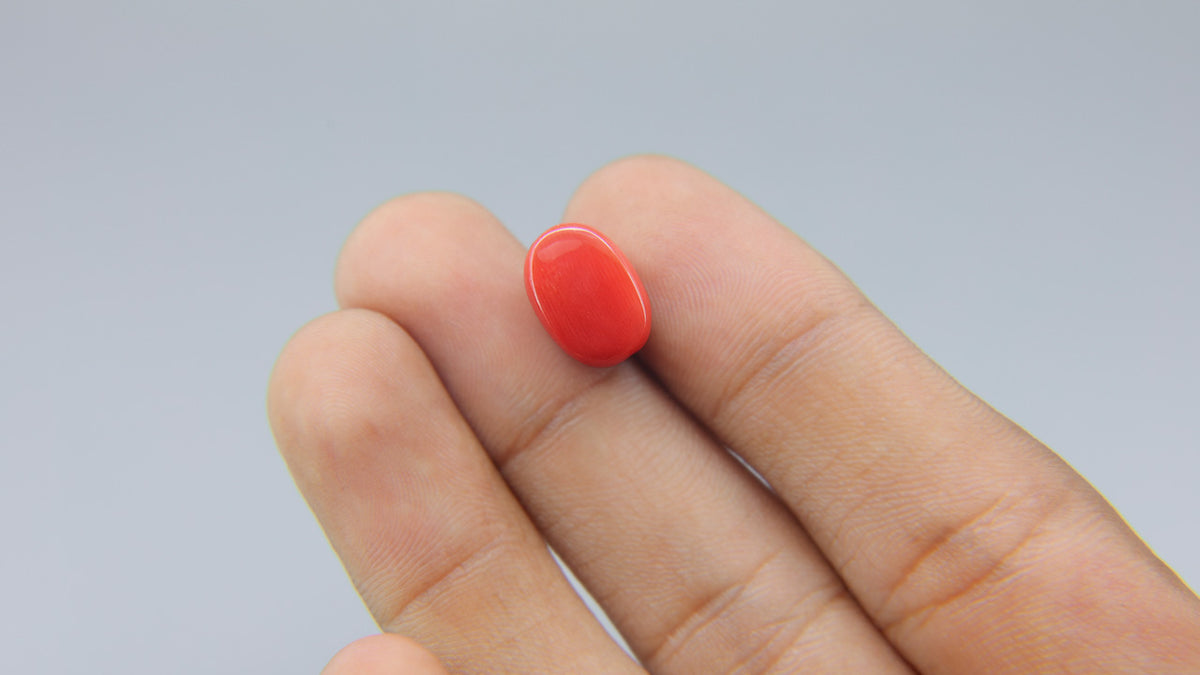 Buy Natural 6.21 Carat Red Coral Stone at best price online