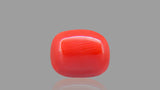 Buy 5.80 Carat Red Coral Stone from Only Natural Gemstones