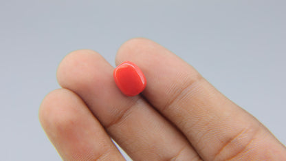 Buy Natural 5.80 Carat Red Coral Stone at best price online