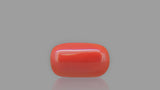 Buy 9.64 Carat Red Coral Stone from Only Natural Gemstones