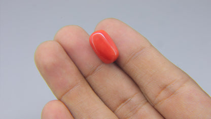 Buy Natural 9.64 Carat Red Coral Stone at best price online