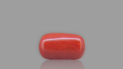 Buy 9.92 Carat Red Coral Stone from Only Natural Gemstones