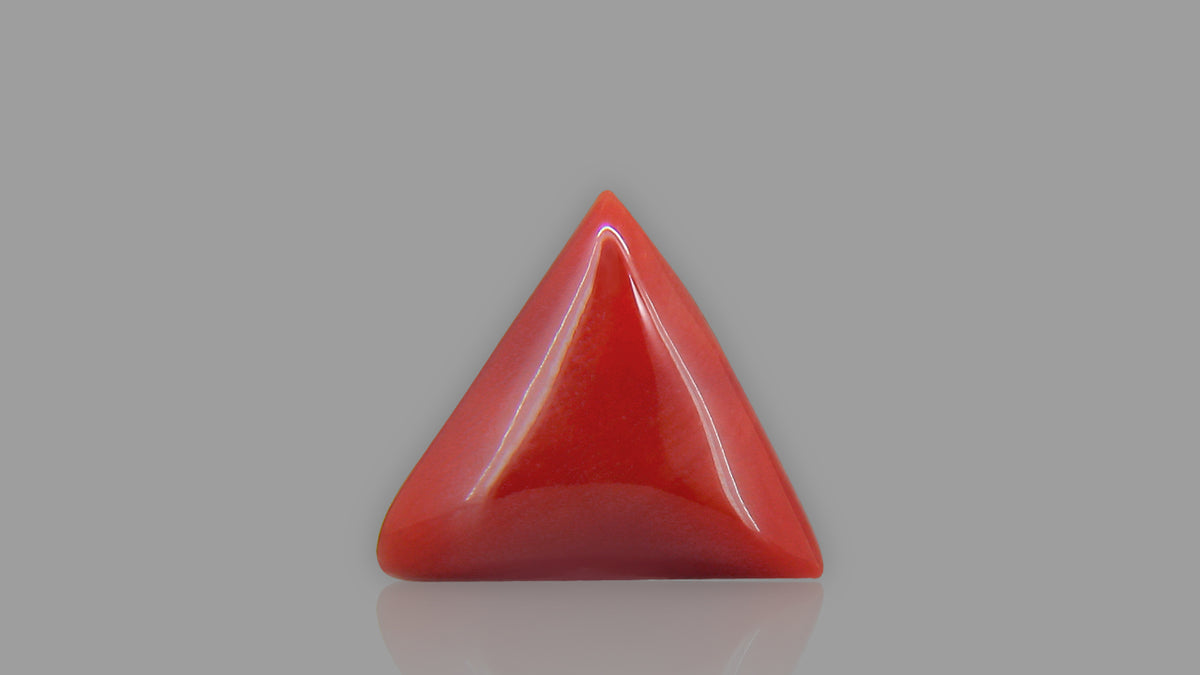 Buy 13.91 Carat Red Coral Stone from Only Natural Gemstones