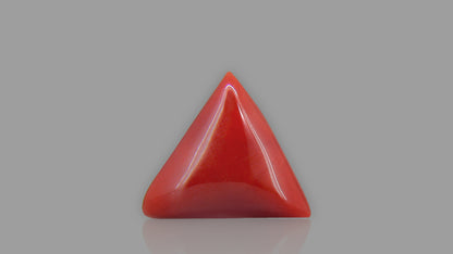 Buy 13.91 Carat Red Coral Stone from Only Natural Gemstones