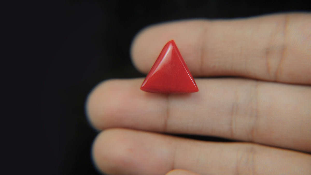 Buy Natural 13.91 Carat Red Coral Stone at best price online