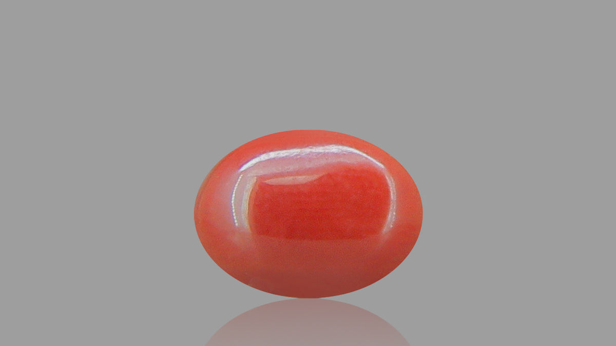 Buy 1.39 Carat Red Coral Stone from Only Natural Gemstones