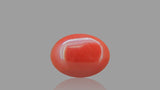 Buy 1.39 Carat Red Coral Stone from Only Natural Gemstones