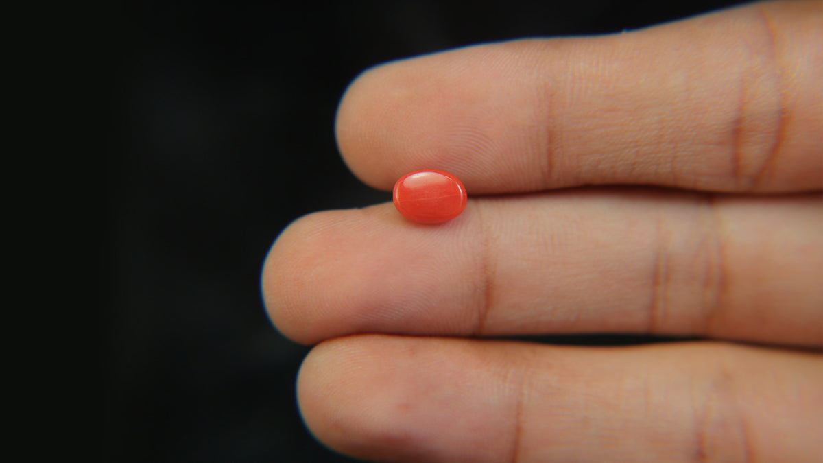 Buy Natural 1.39 Carat Red Coral Stone at best price online