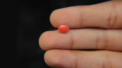 Buy Natural 1.39 Carat Red Coral Stone at best price online